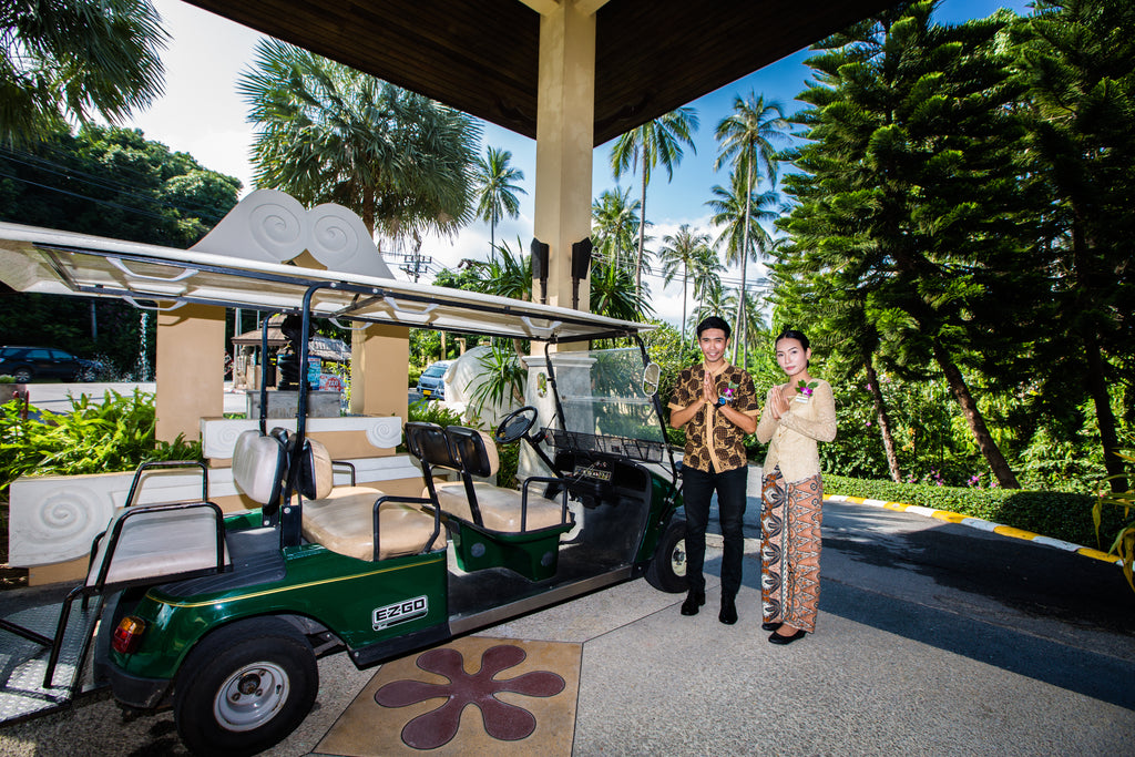 Buggy Service