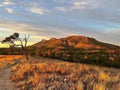 Ikara-Flinders Ranges National Park