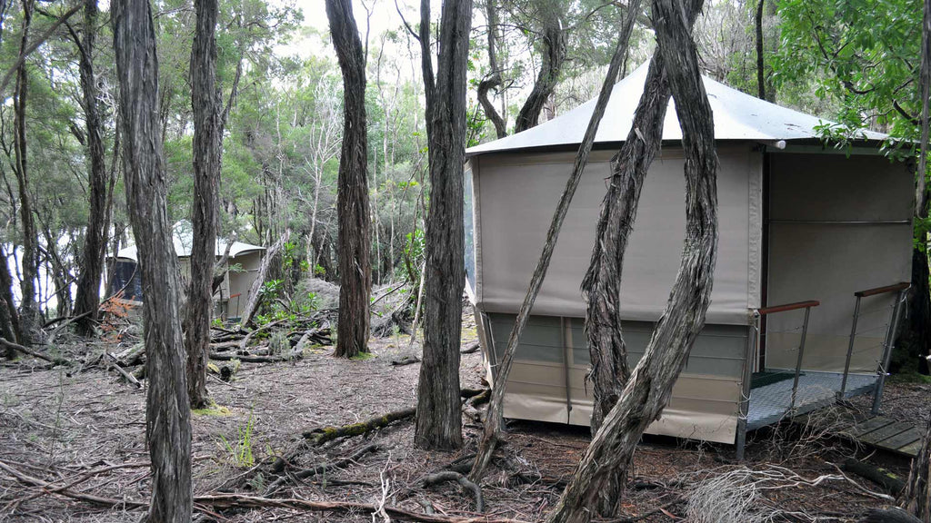 Southwest Wilderness Camp