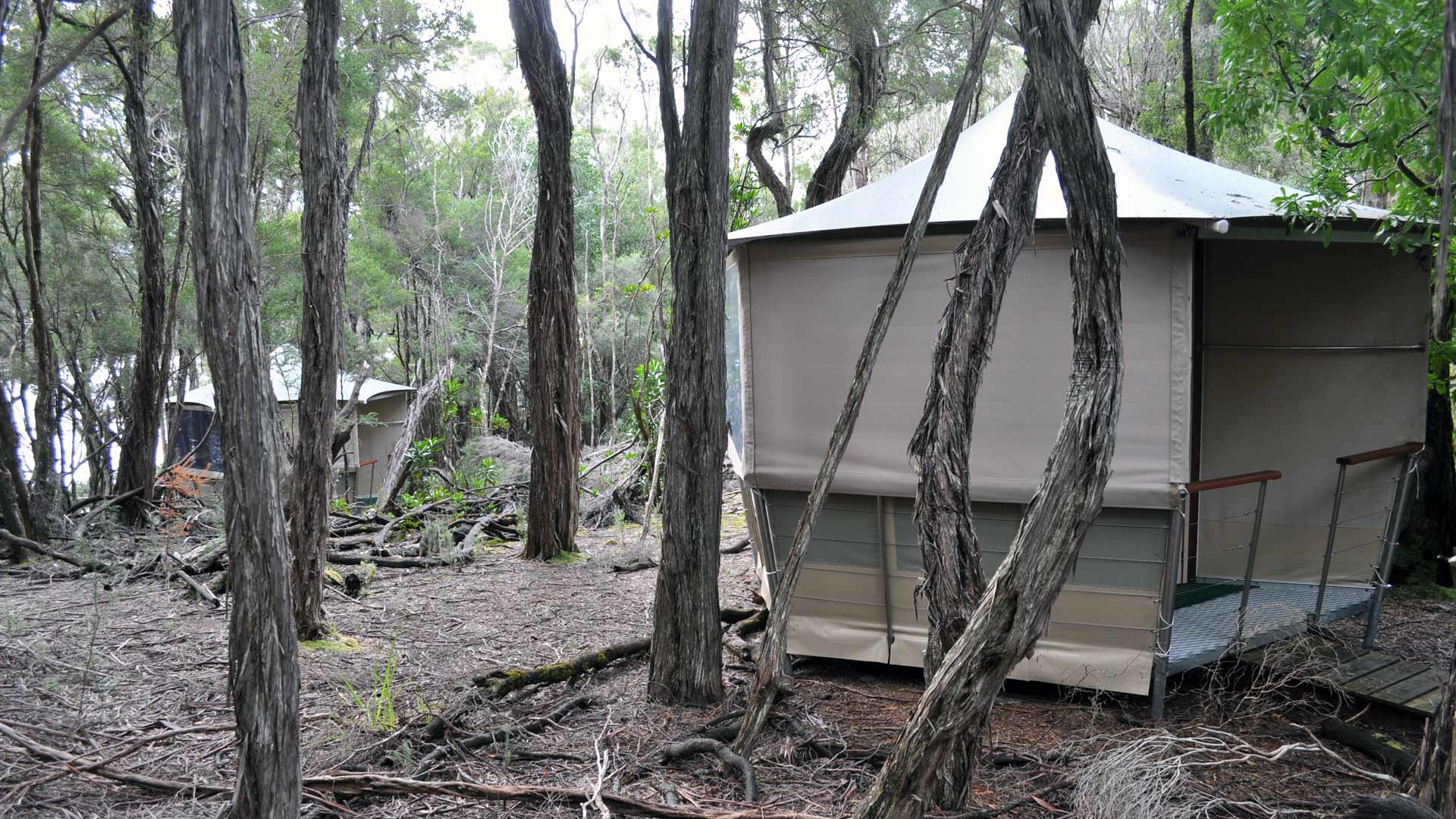 Southwest Wilderness Camp