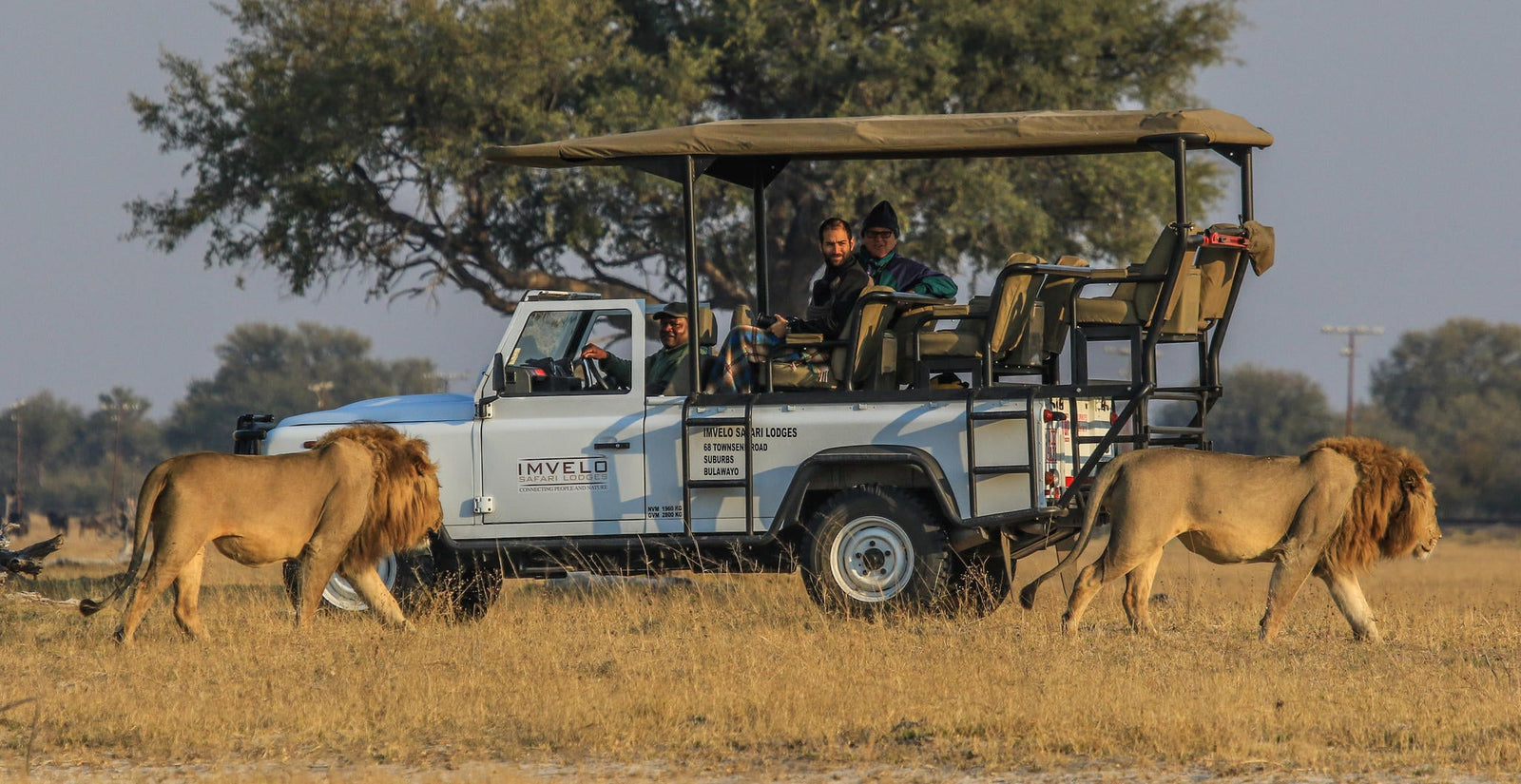 Game Drives