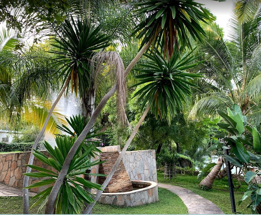 Lake Kariba Inns