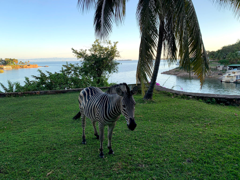 Lake Kariba Inns
