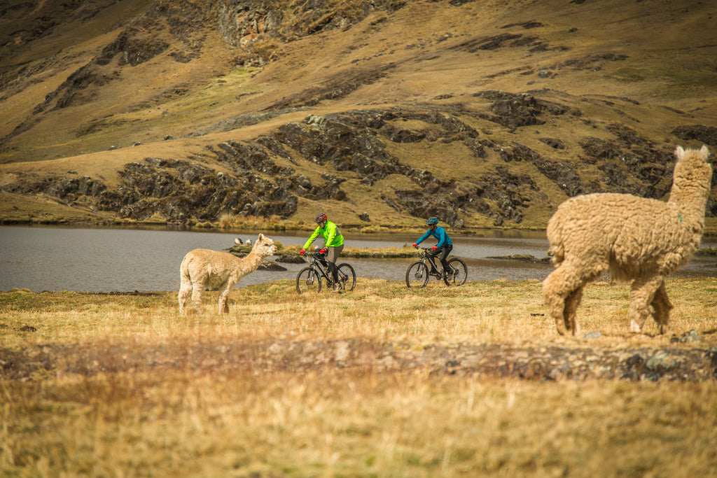 Explorations