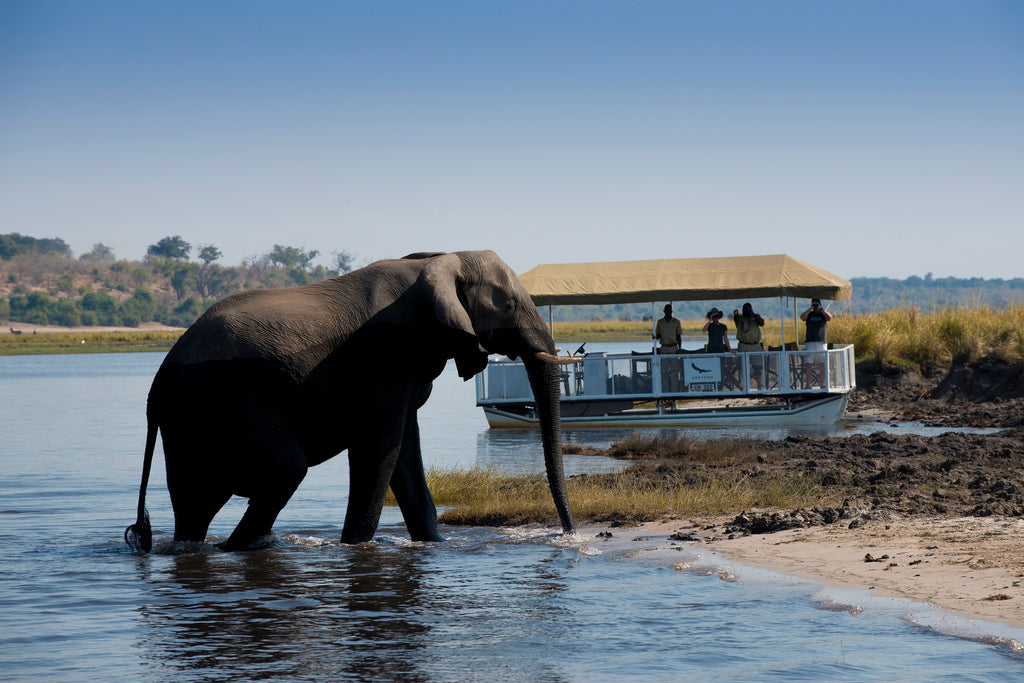 andBeyond Expeditions - Boat cruise