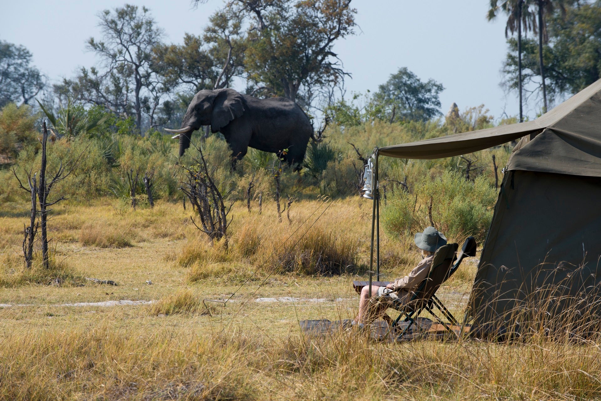 andBeyond Expeditions