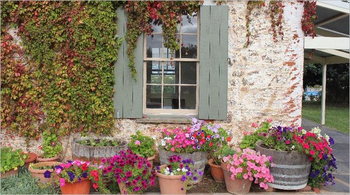 Coriole Vineyards