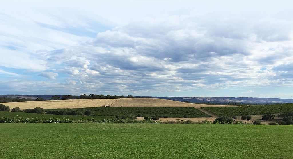 Coriole Vineyards
