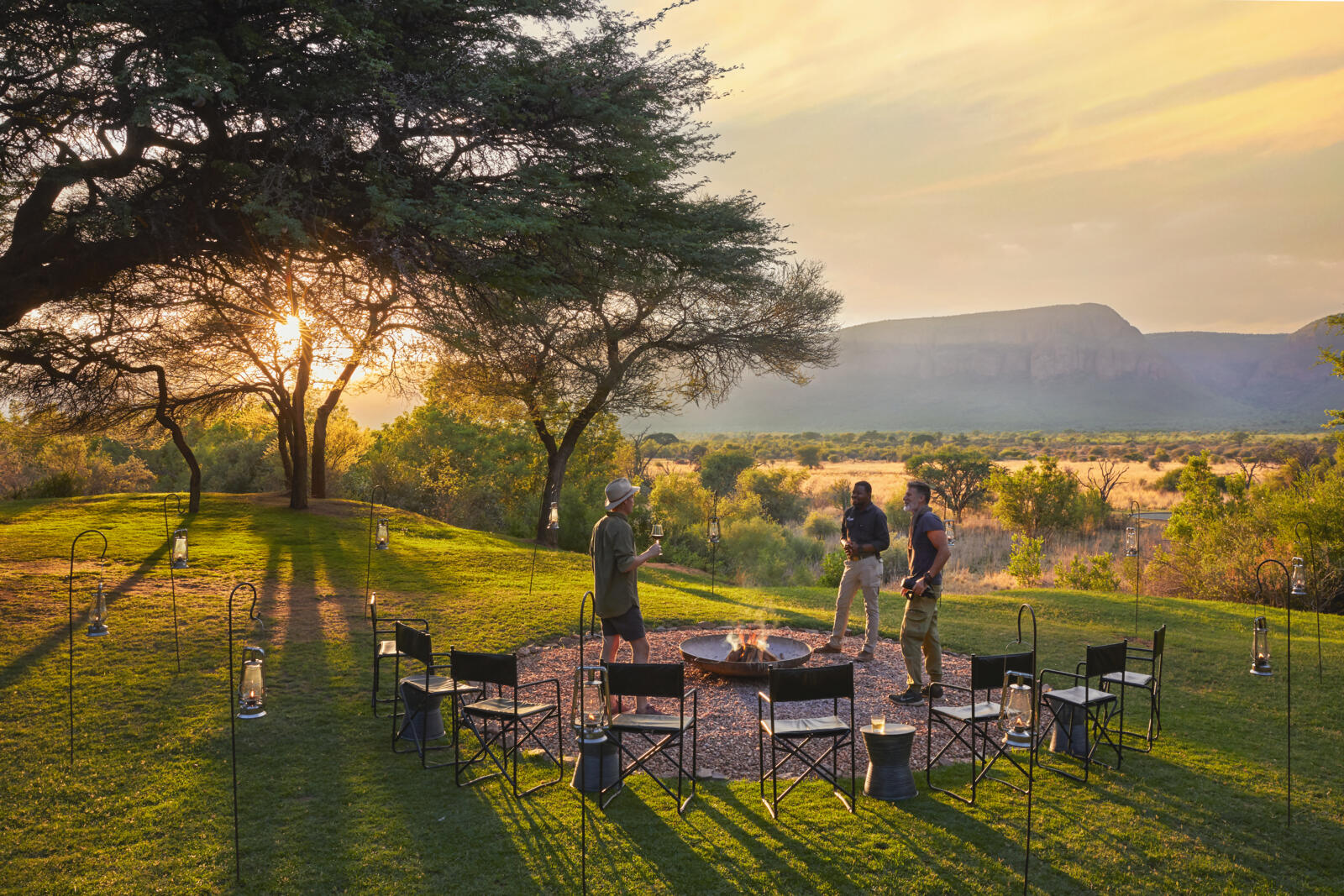 Safari Lawn