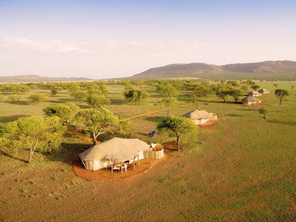 Camp Aerial View