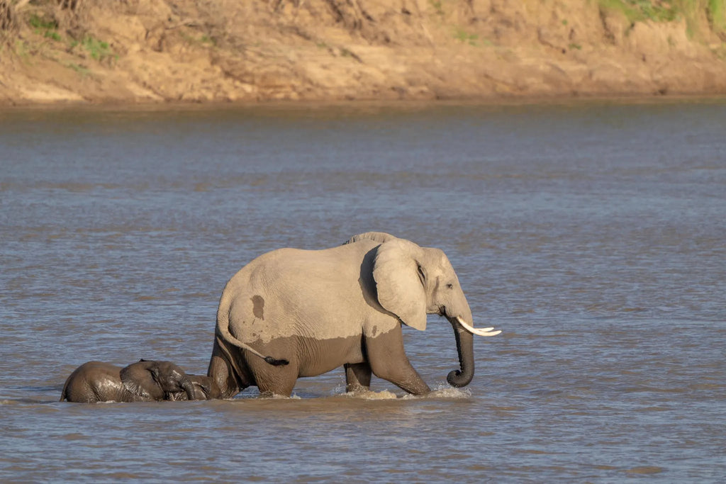 Time + Tide Mchenja at Time + Tide Mchenja, South Luangwa National Park, Zambia.