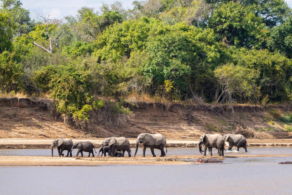 Time + Tide Mchenja at Time + Tide Mchenja, South Luangwa National Park, Zambia.