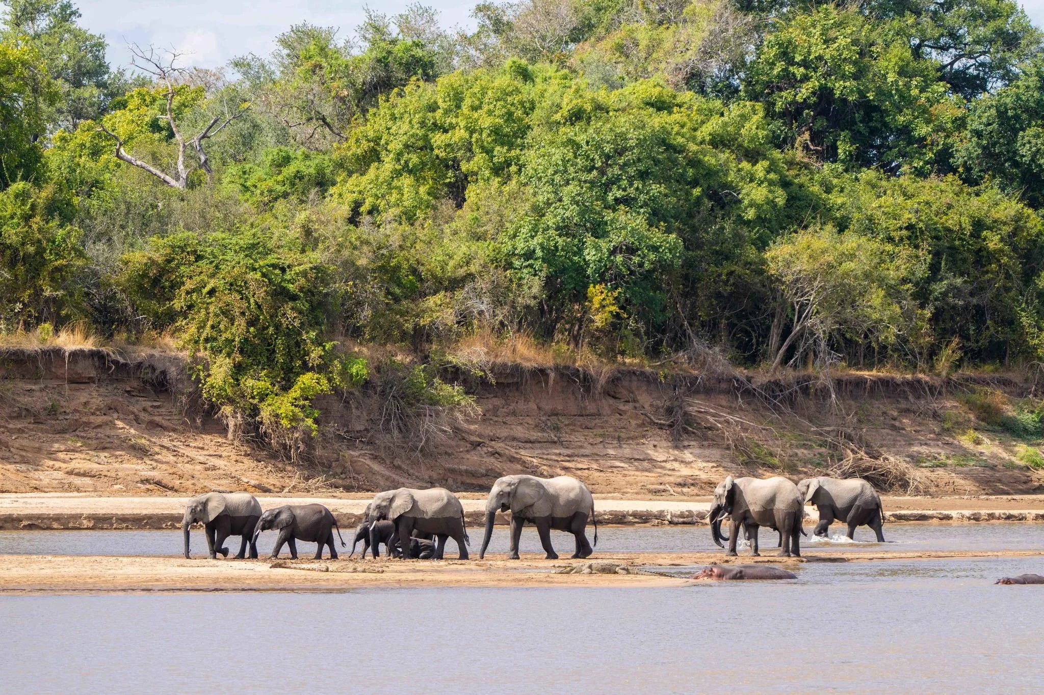 Time + Tide Mchenja at Time + Tide Mchenja, South Luangwa National Park, Zambia.