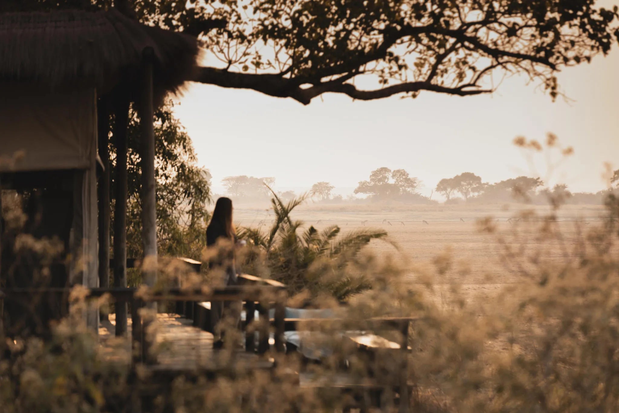 Wilderness Shumba Camp at Wilderness Shumba, Busanga Plains, Zambia.