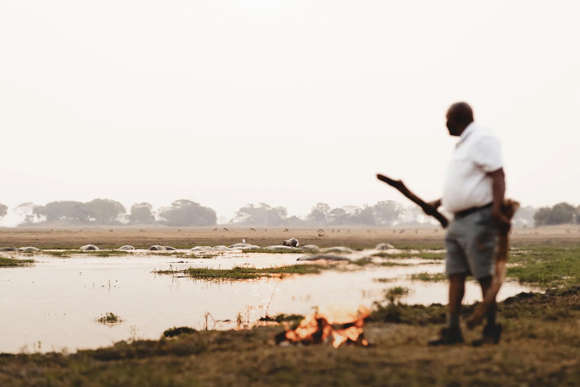 Wilderness Shumba Camp at Wilderness Shumba, Busanga Plains, Zambia.