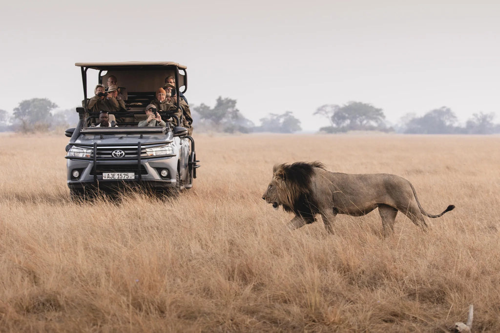 Wilderness Shumba Camp at Wilderness Shumba, Busanga Plains, Zambia.