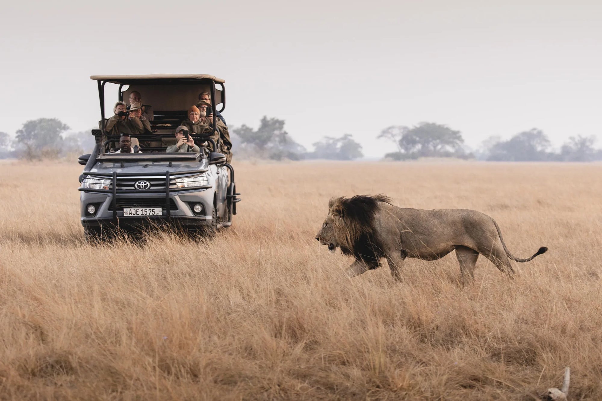 Wilderness Shumba Camp at Wilderness Shumba, Busanga Plains, Zambia.