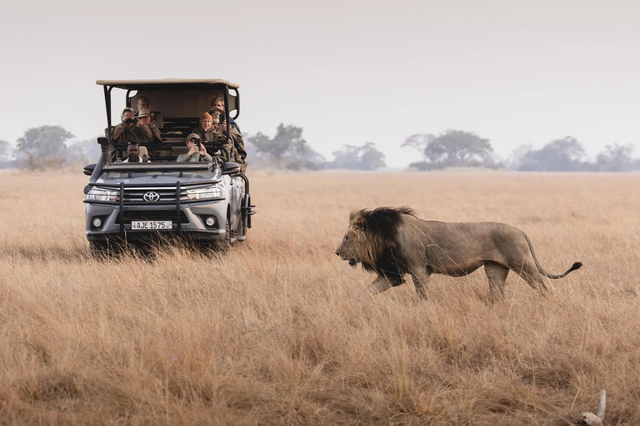 Wilderness Shumba Camp at Wilderness Shumba, Busanga Plains, Zambia.