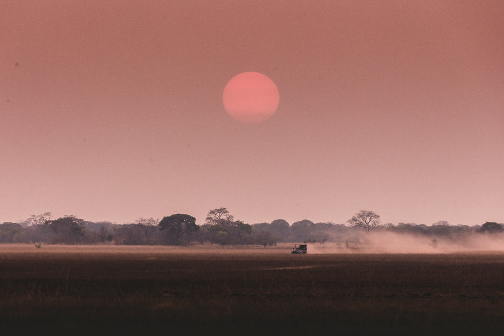 Wilderness Shumba – Night Drives 