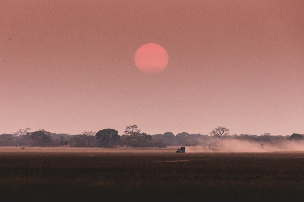 Wilderness Shumba – Night Drives