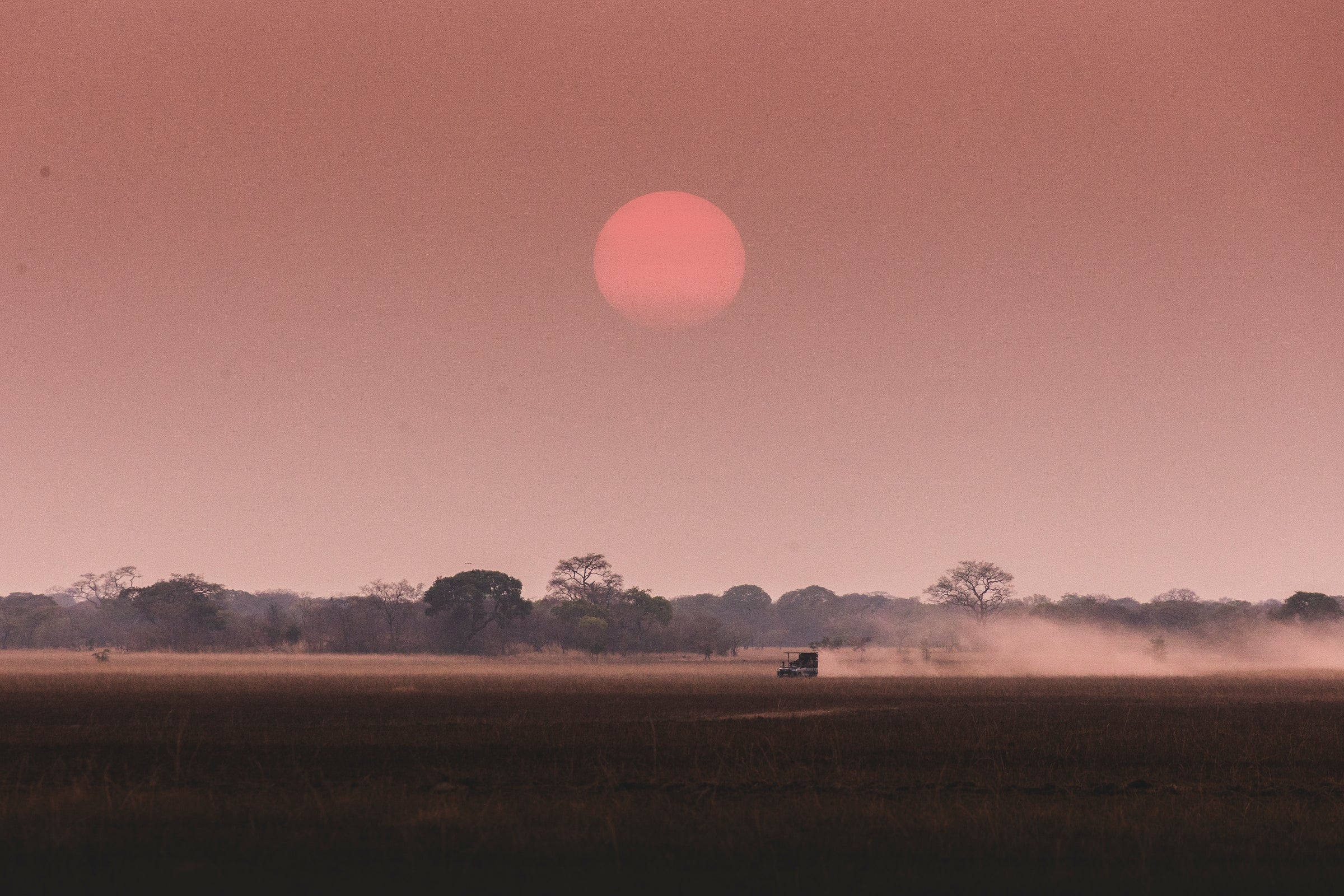 Wilderness Shumba – Night Drives