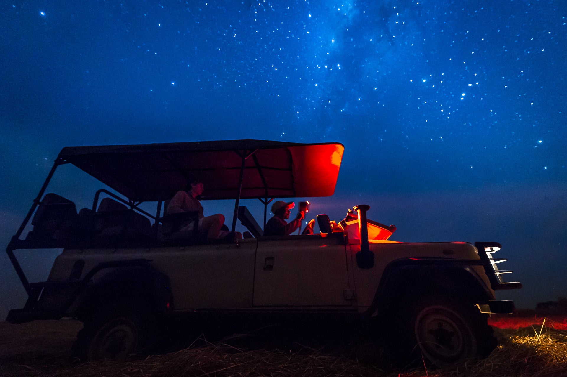 Wilderness Shumba – Night Drives 