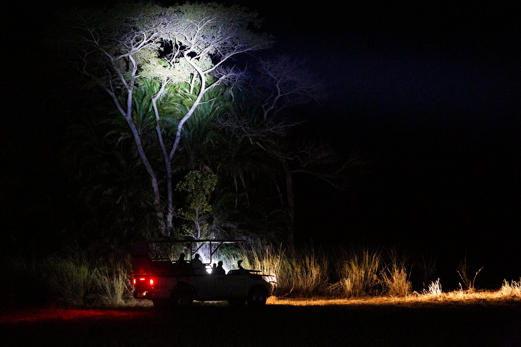 Wilderness Shumba – Night Drives 