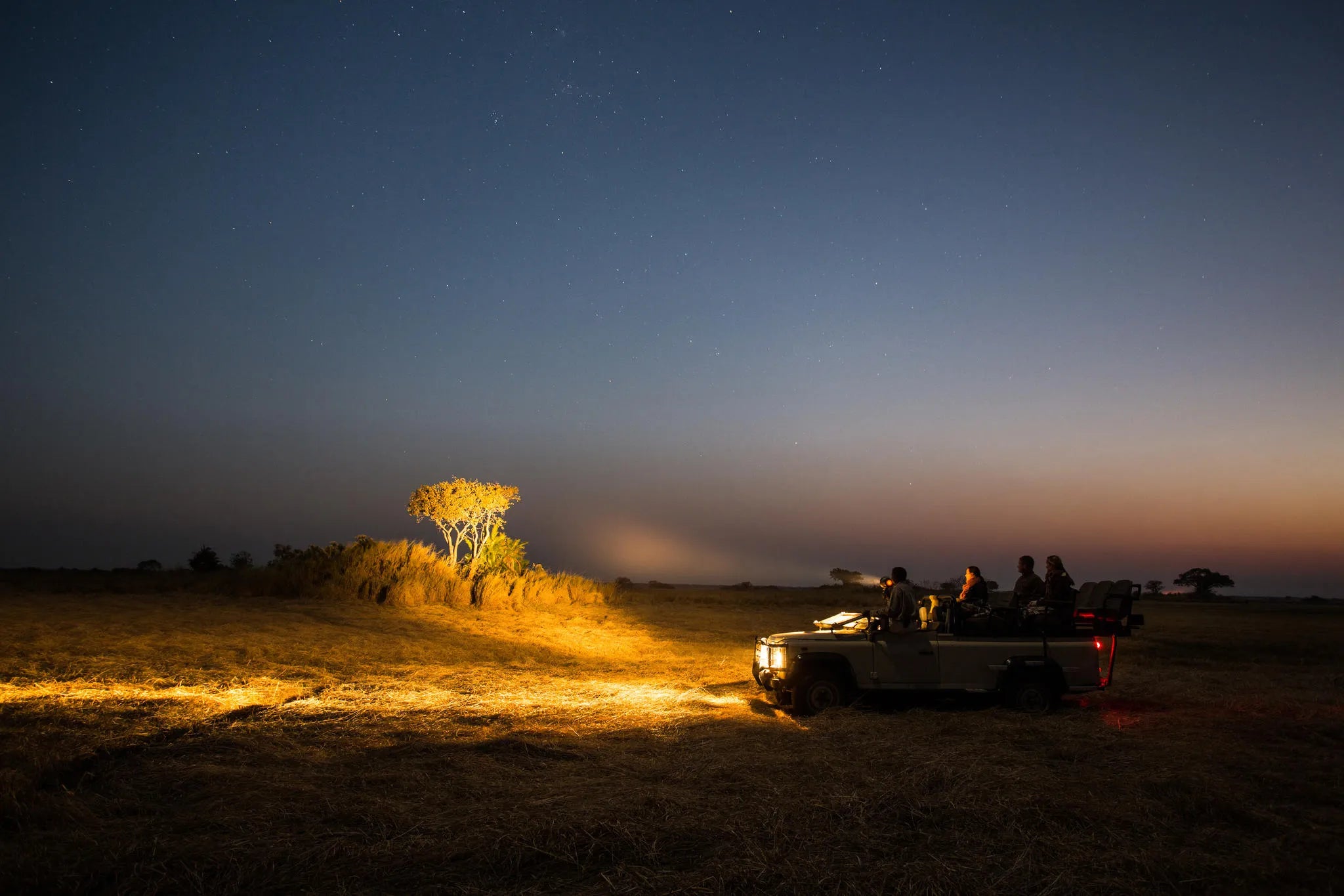 Gallery image 6.