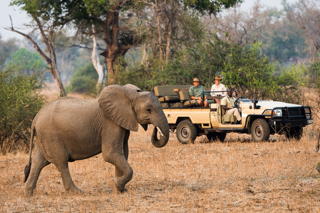 Game drives