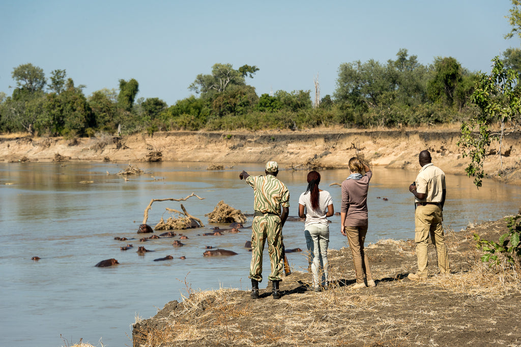 Walking Safaris