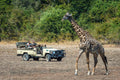 Game drives