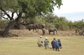 Lion Camp walking safari