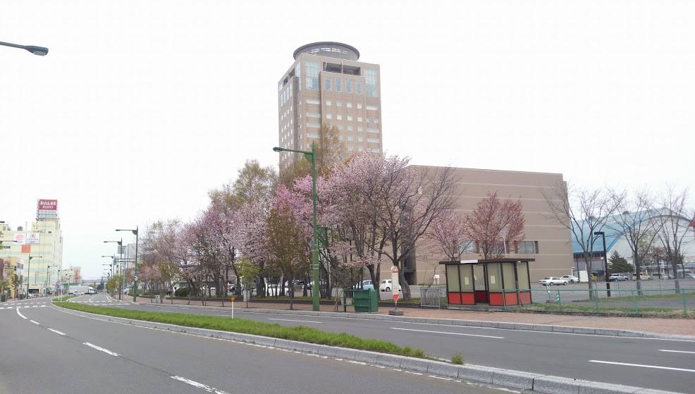 Grand Hotel New Oji