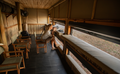 Puku Ridge Main Area photo hide interior