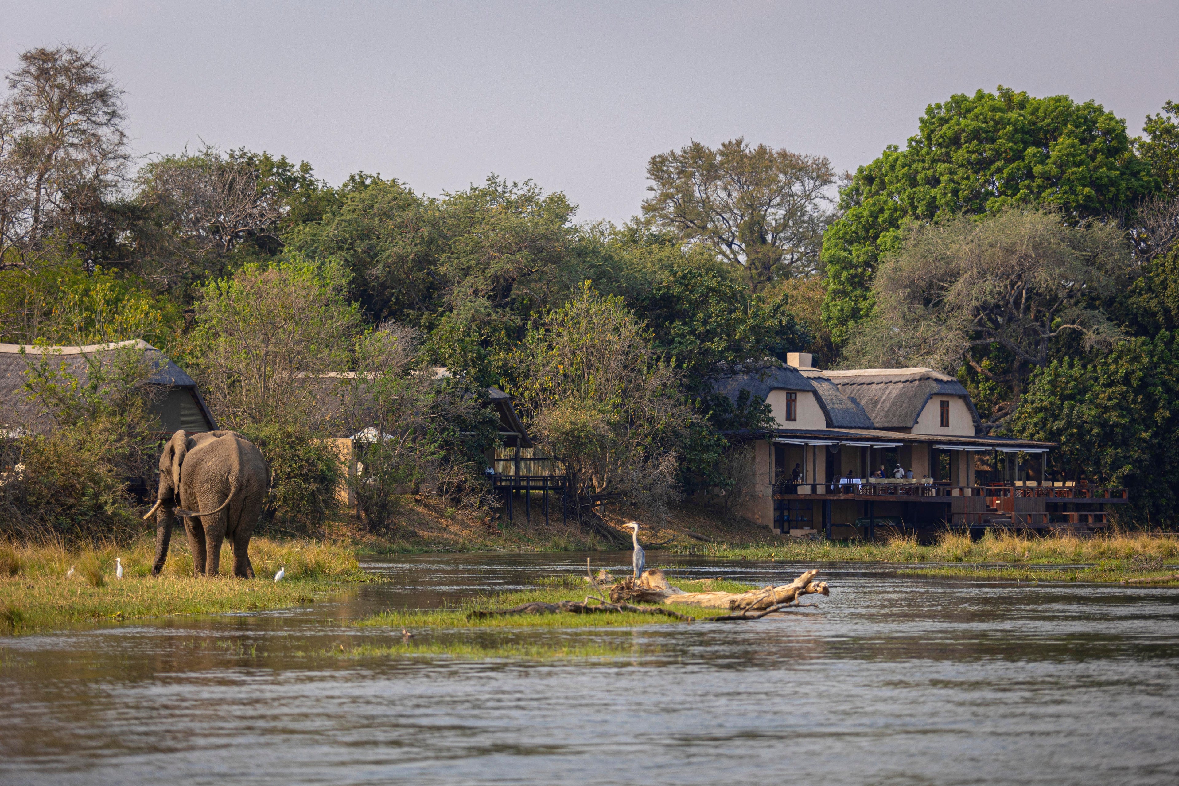View of the lodge from the river