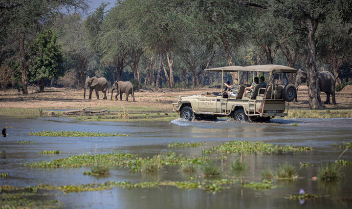 Royal Zambezi Lodge
