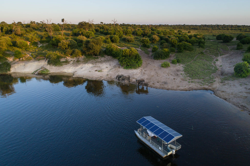 Chobe Game Lodge River Safaris