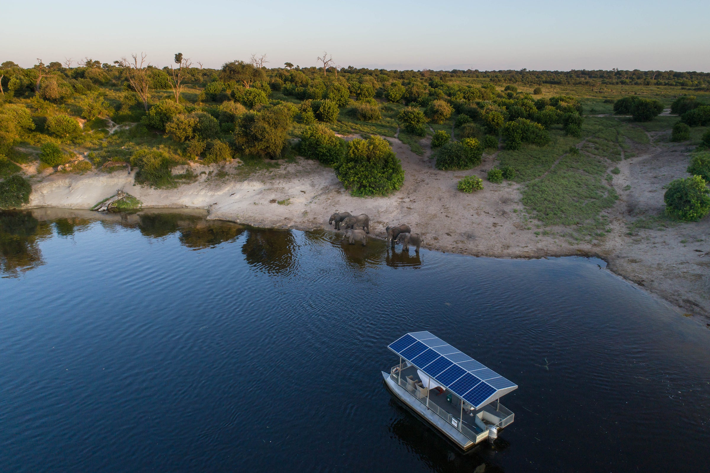Chobe Game Lodge River Safaris