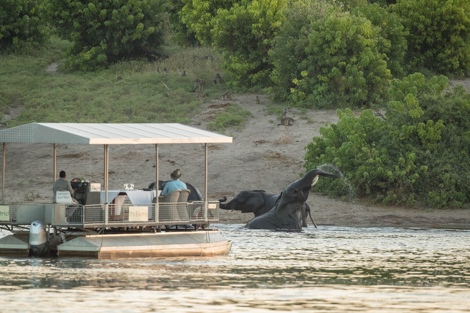 Chobe Game Lodge River Safaris