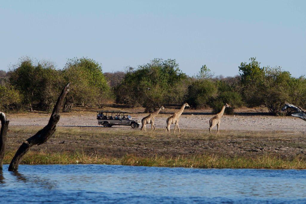 Chobe Game Lodge Game Drives