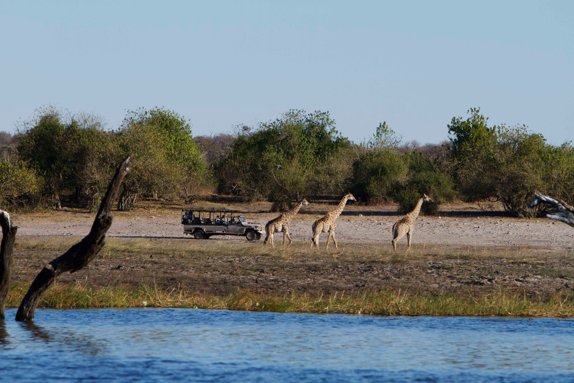 Chobe Game Lodge Game Drives