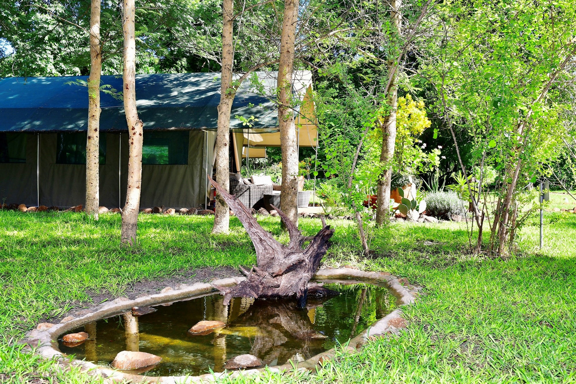 The Woodlands at Waterberry - Forest Tents