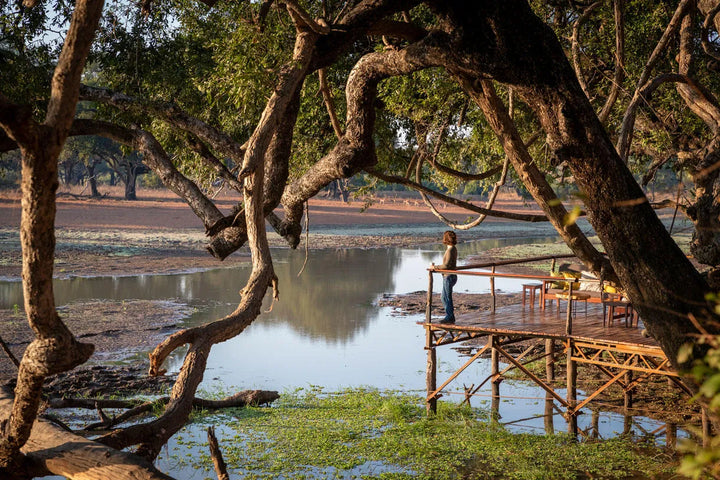 Big Lagoon Camp
