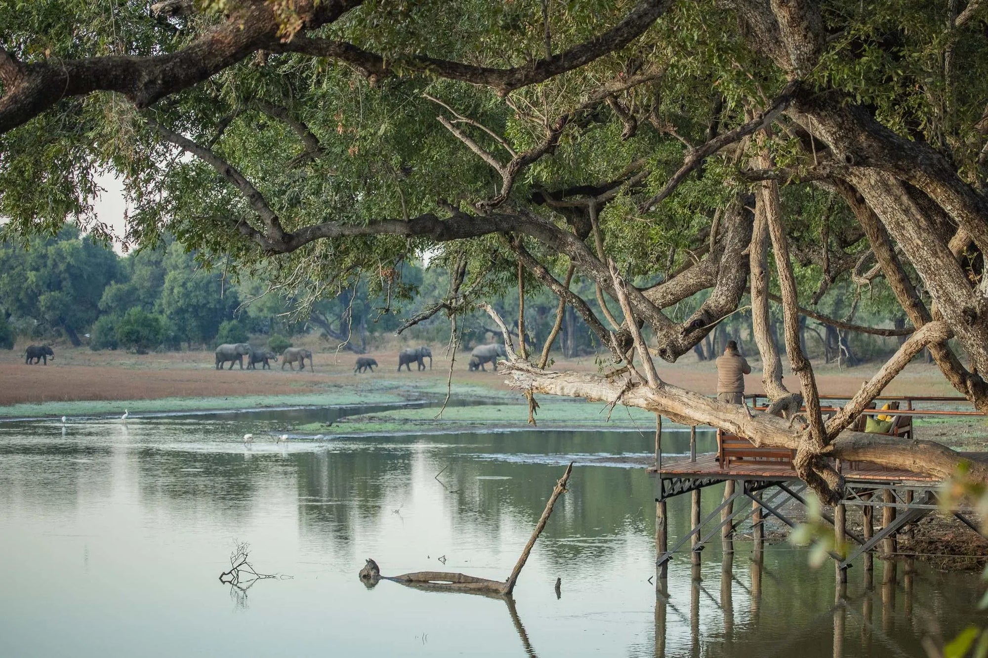 Big Lagoon deck at Big Lagoon Camp, South Luangwa National Park, Zambia.