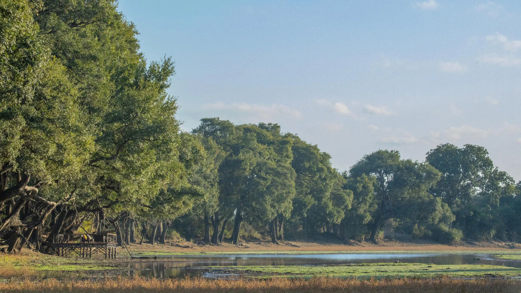Big Lagoon Camp at Big Lagoon Camp, South Luangwa National Park, Zambia.
