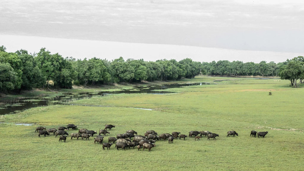 Big Lagoon Camp in May at Big Lagoon Camp, South Luangwa National Park, Zambia.