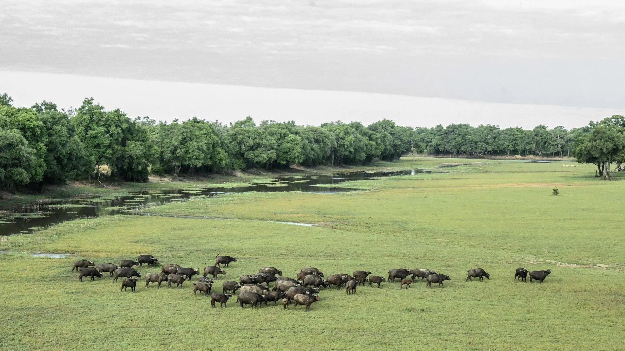 Big Lagoon Camp in May at Big Lagoon Camp, South Luangwa National Park, Zambia.