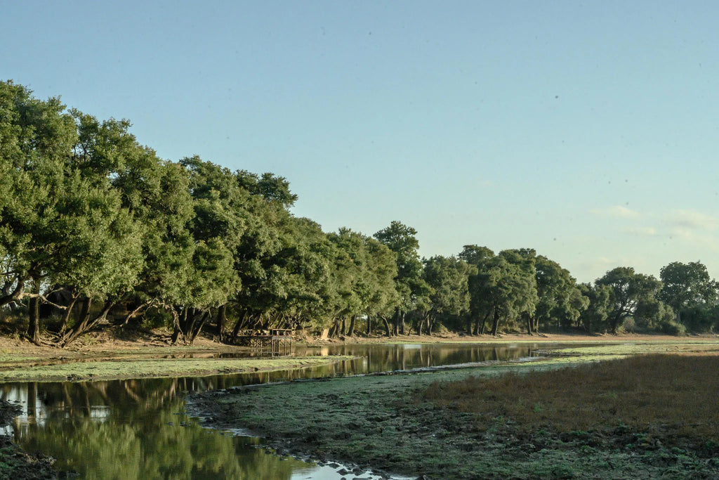 Big Lagoon Camp at Big Lagoon Camp, South Luangwa National Park, Zambia.