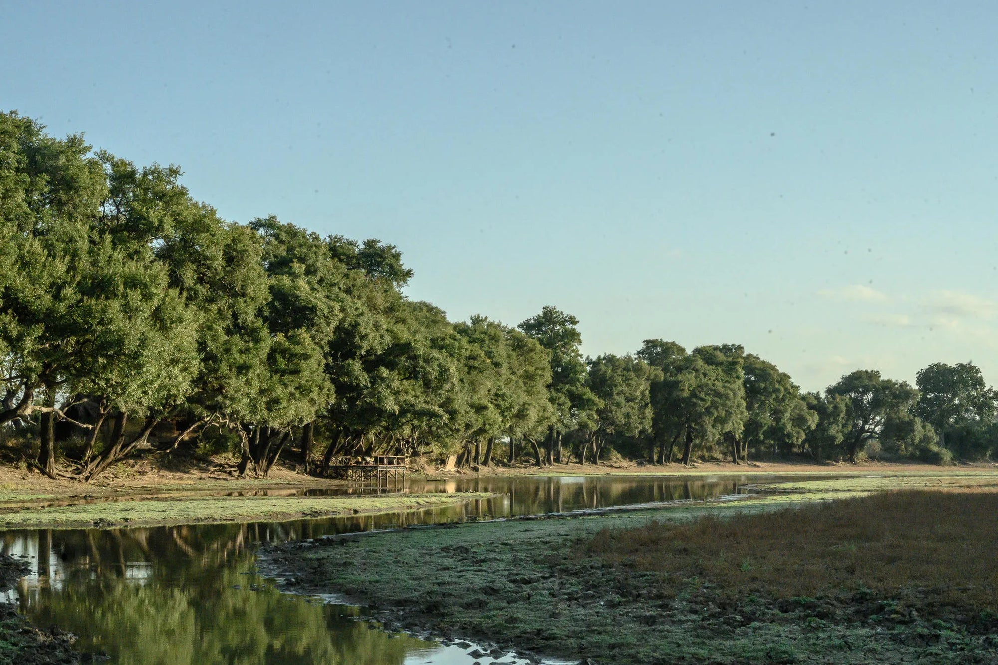 Big Lagoon Camp at Big Lagoon Camp, South Luangwa National Park, Zambia.