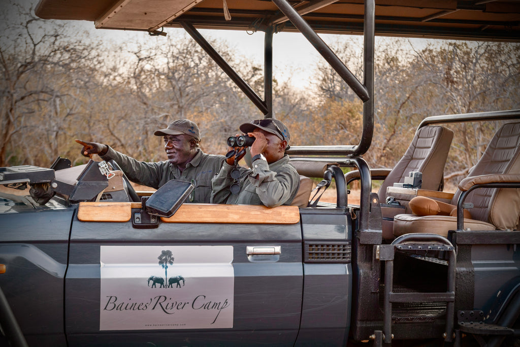 Baines' River Camp | Activities